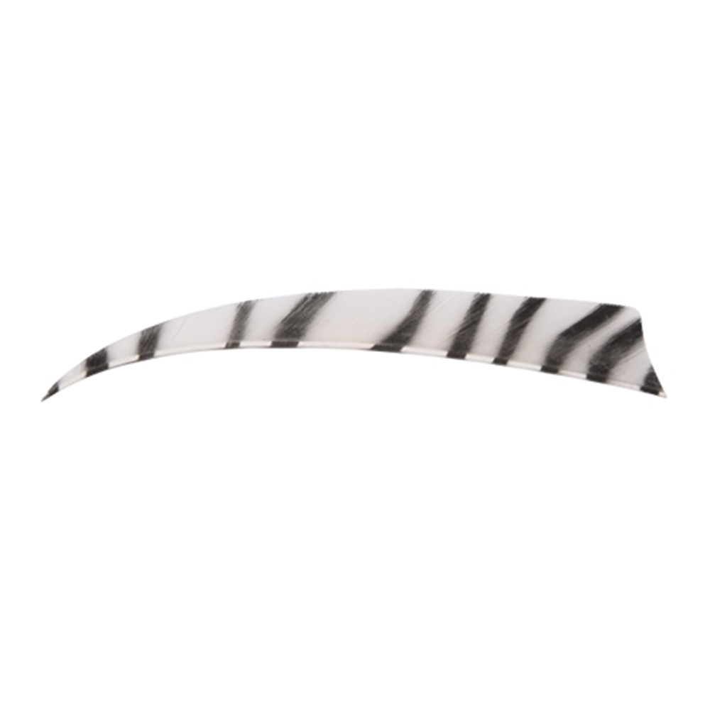 Bearpaw Feather Shield Zebra RW 4 Inch