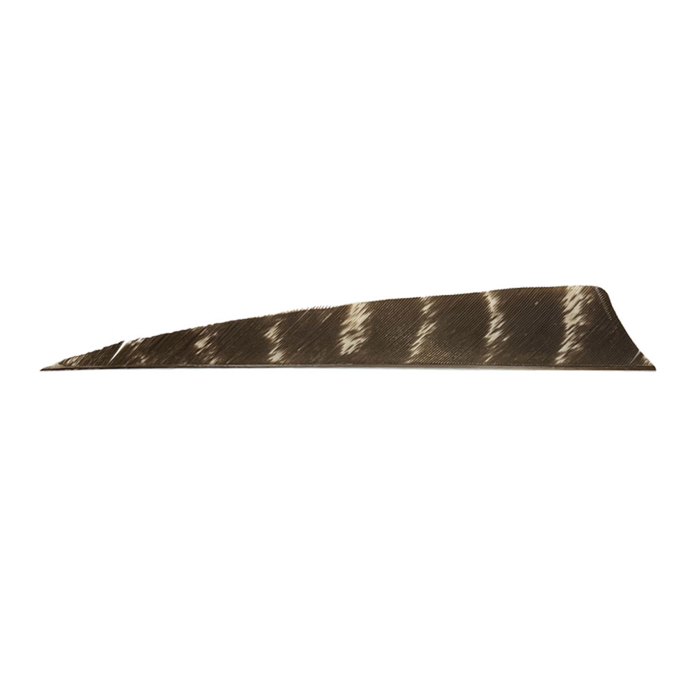 Bearpaw Feather Shield Barred RW 5 Inch