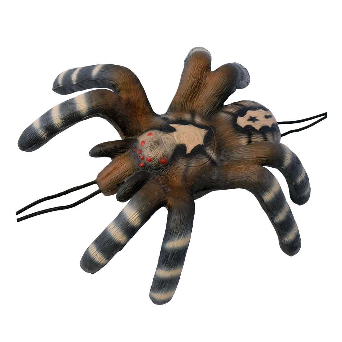 Dier, Ongewervelde dieren, Spin, Insecten