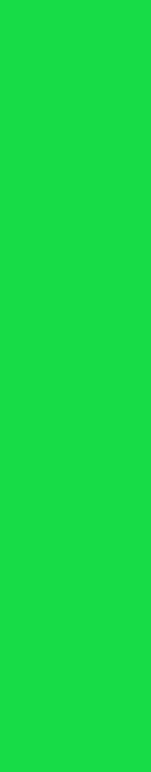 DBS Arrow Wrap Fluor Green
