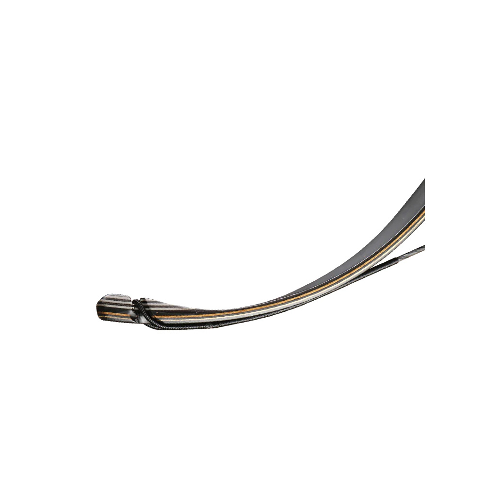 Elektrisch apparaat, Microfoon