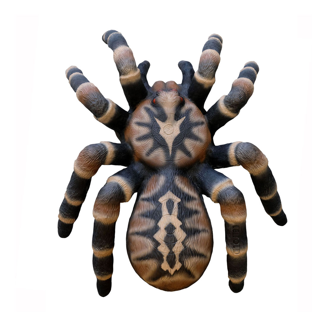 Dier, Ongewervelde dieren, Spin, Insecten, Tarantula